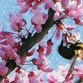 Bee to the Blossom