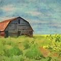 Old Barn Amongst the Weeds